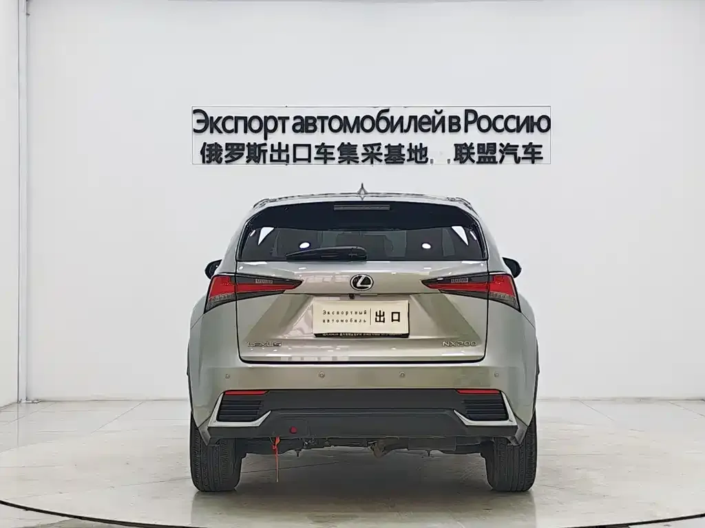 Lexus NX 2021 из CN, фото 5