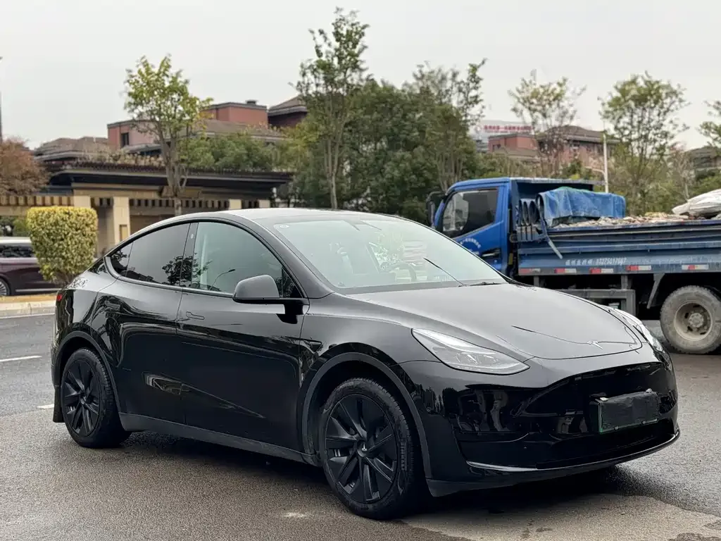 Tesla Model Y 2023 из CN, фото 9
