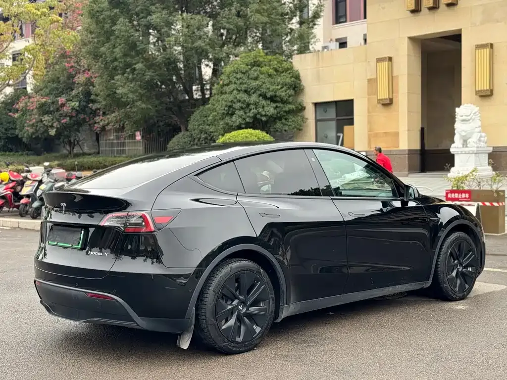 Tesla Model Y 2023 из CN, фото 4