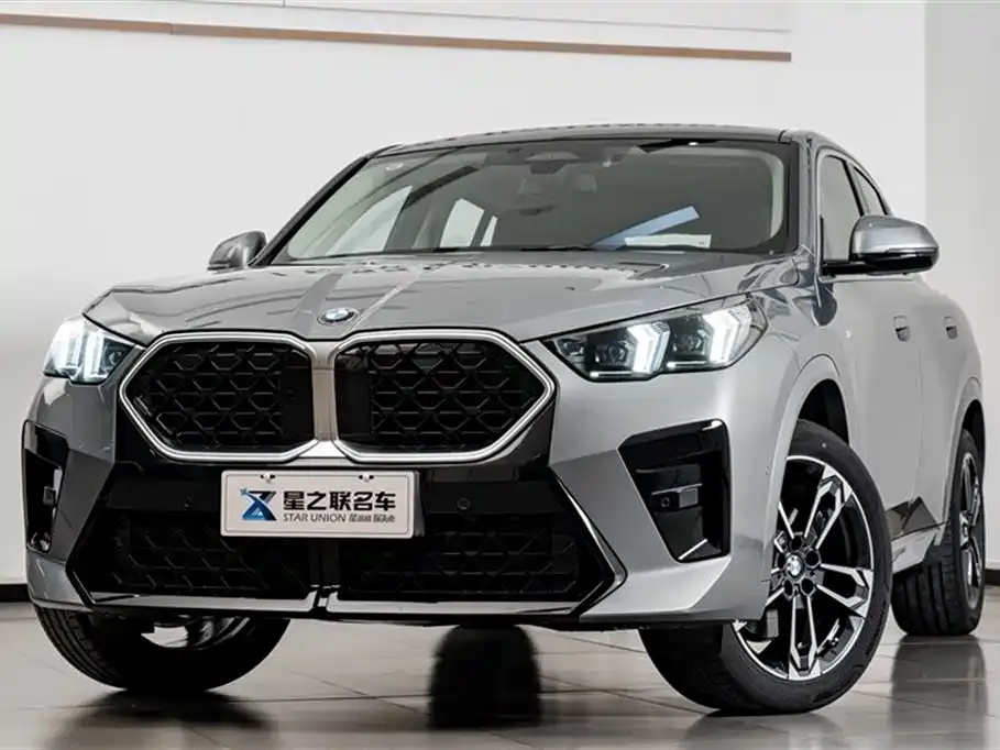 BMW X2 (Import) 2025 из CN, фото 6