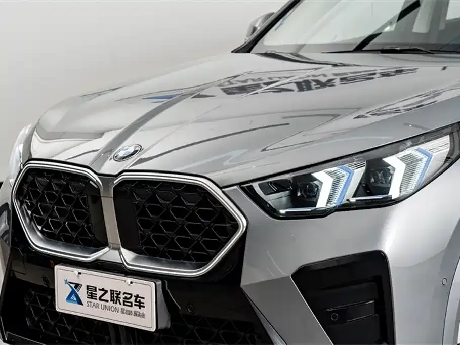 BMW X2 (Import) 2025 из CN, фото 5
