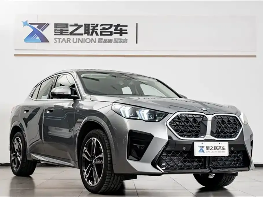 BMW X2 (Import) 2025 из CN, фото 9