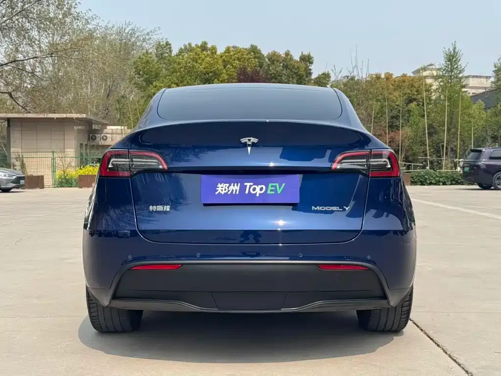 Tesla Model Y — фото 8