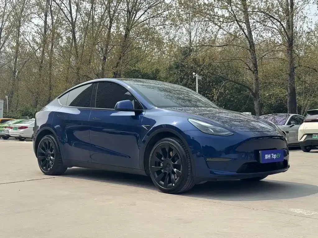 Tesla Model Y — фото 9