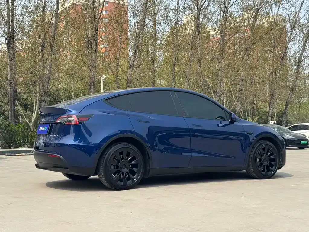 Tesla Model Y — фото 10