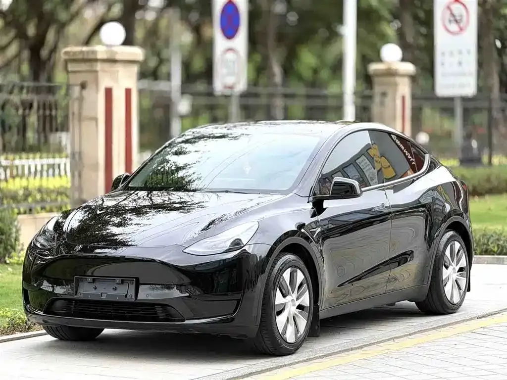 Tesla Model Y — фото 1