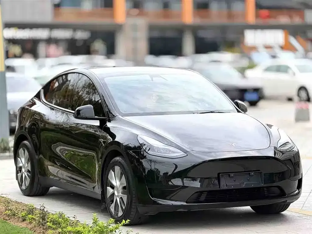 Tesla Model Y — фото 8
