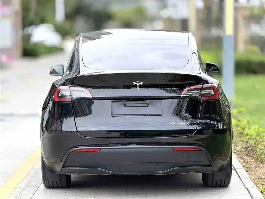 Tesla Model Y — фото 5