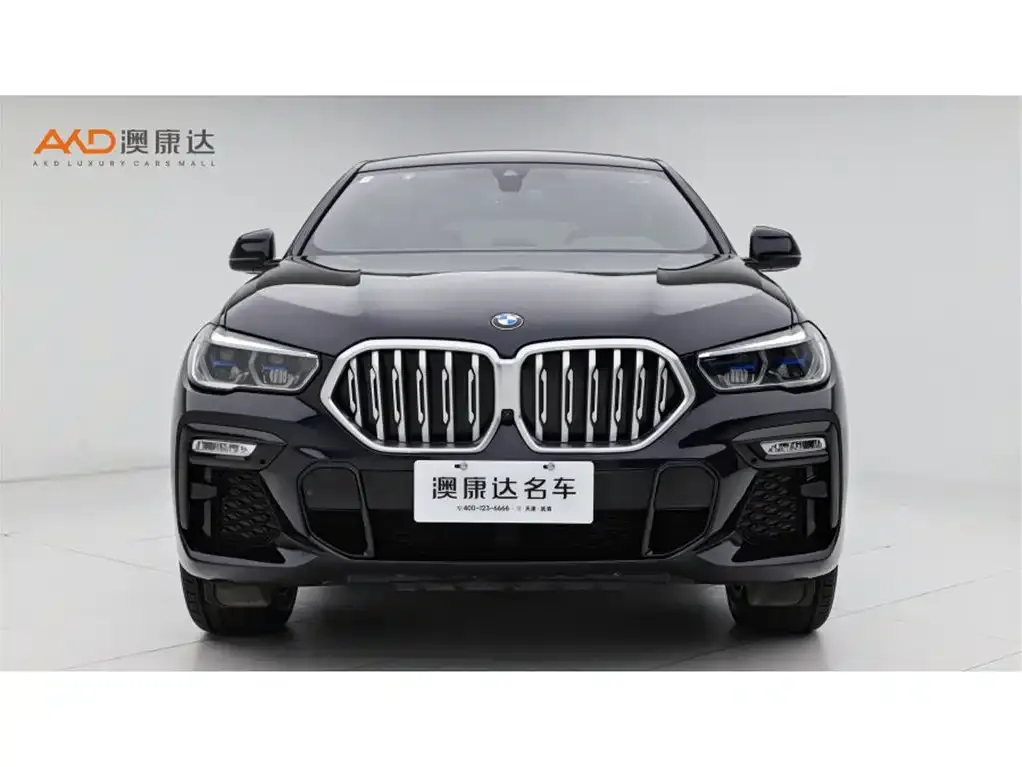 BMW X6 2021 из CN, фото 10
