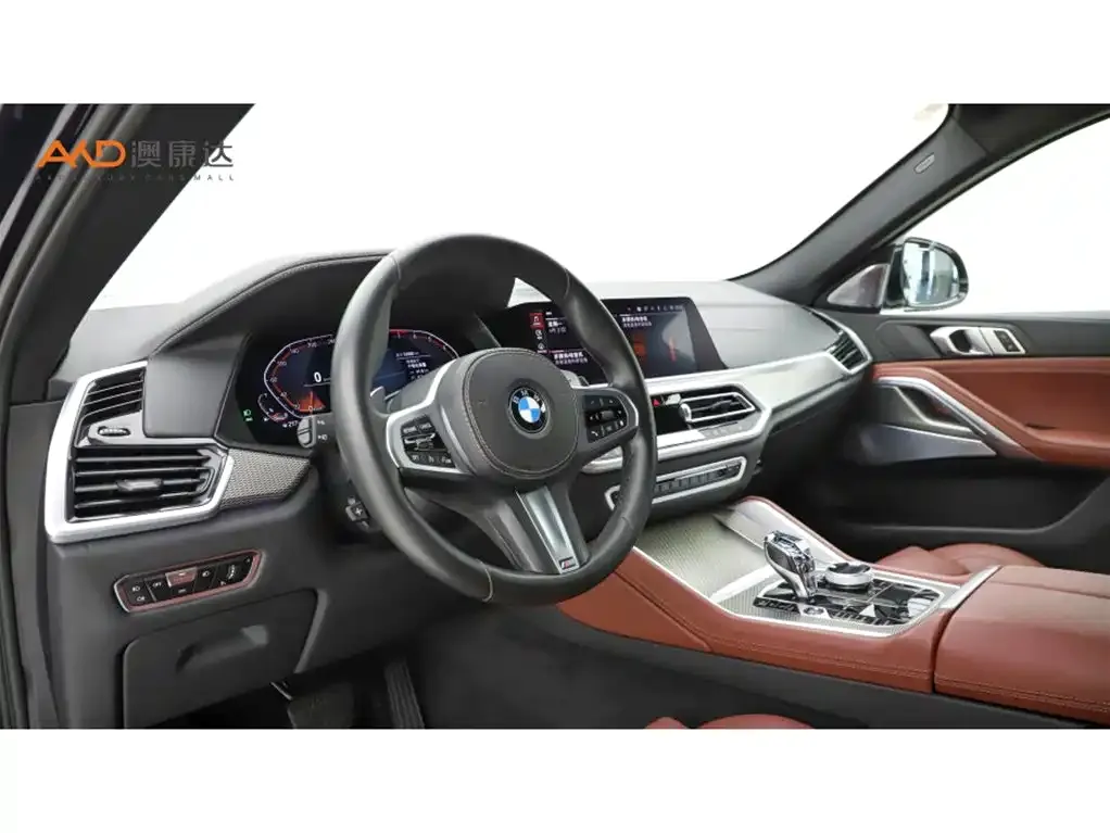 BMW X6 2021 из CN, фото 4