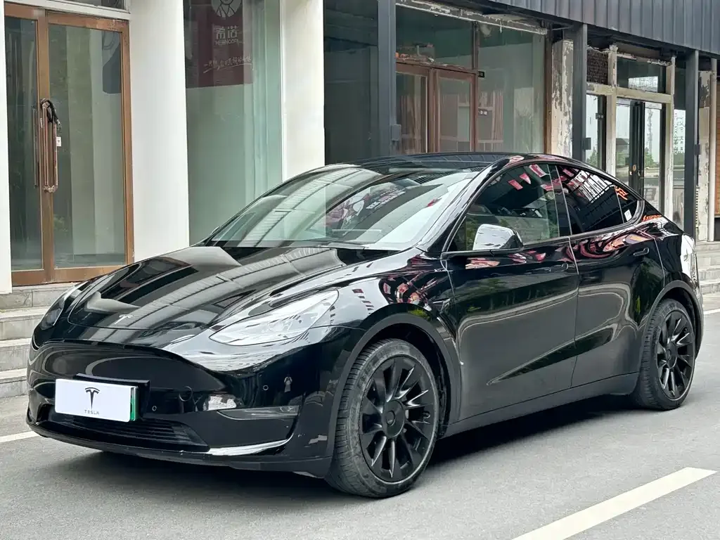 Tesla Model Y — фото 1