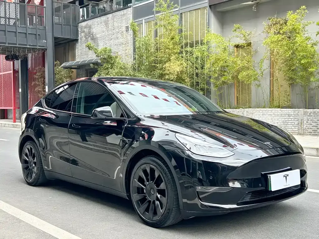 Tesla Model Y — фото 10