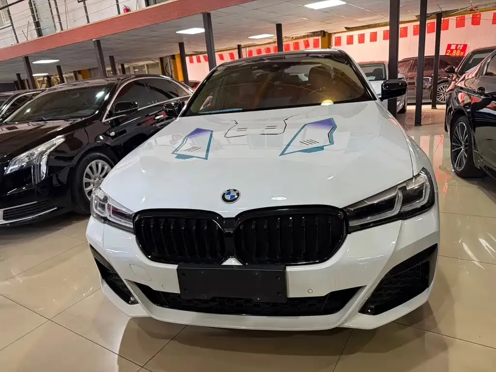 BMW 5 Series 2023 из CN, фото 9