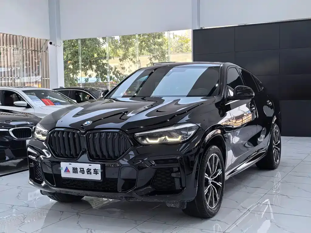 BMW X6
