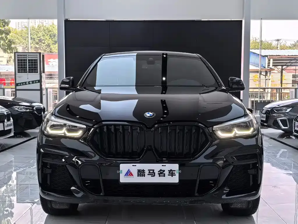 BMW X6 2022 из CN, фото 6