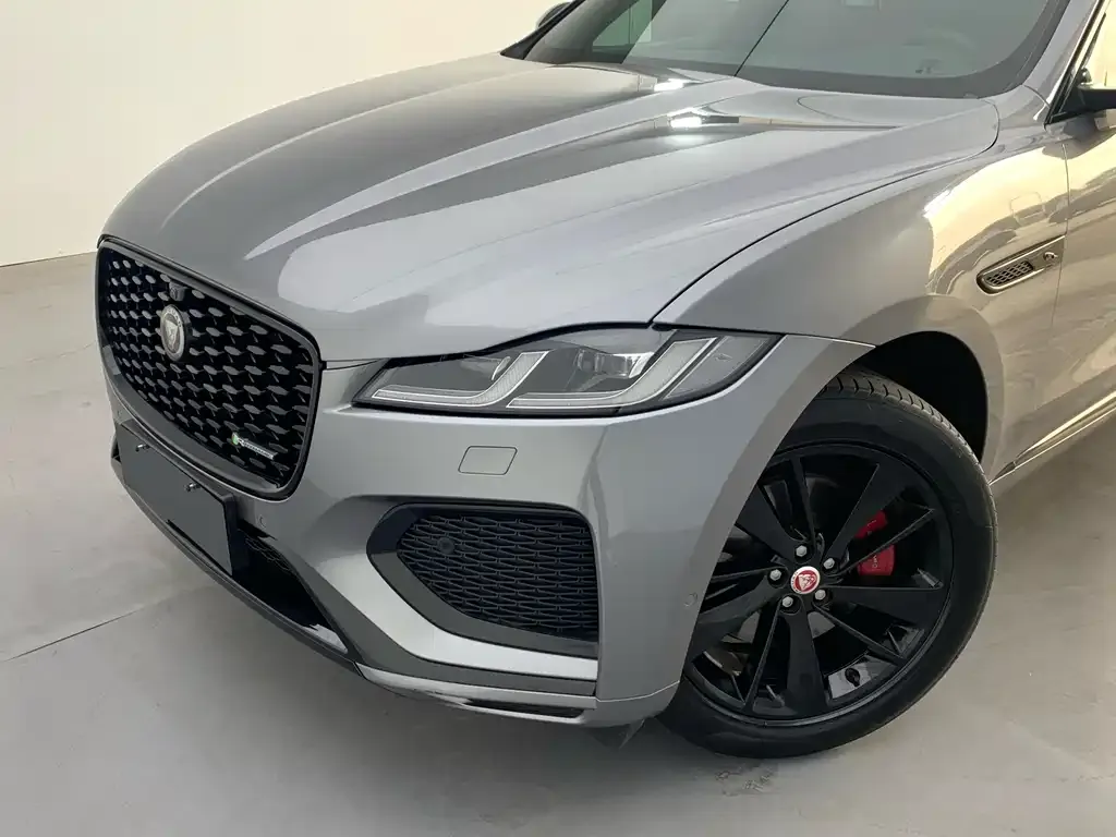 Jaguar F-PACE — фото 7