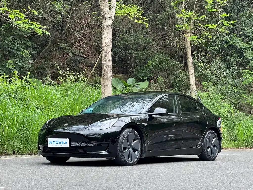 Tesla Model 3 — фото 1