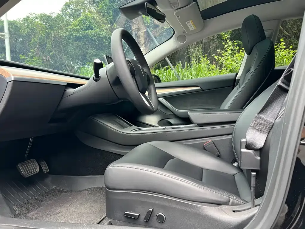 Tesla Model 3 — фото 2