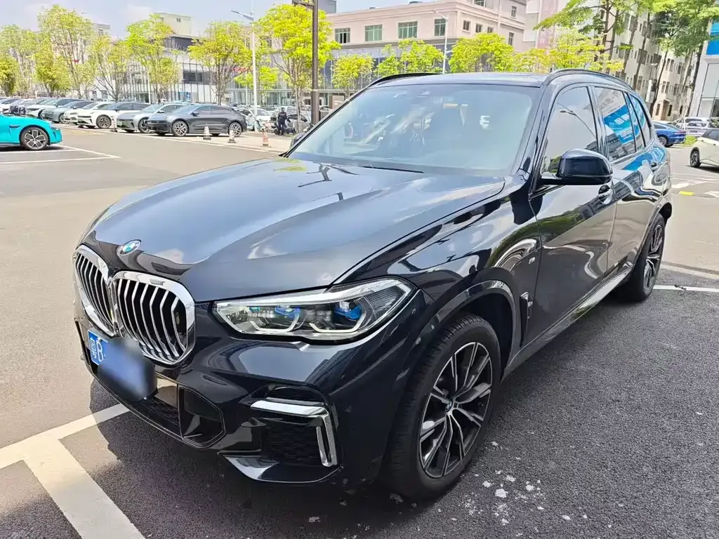 BMW X5 2023 из CN, фото 1