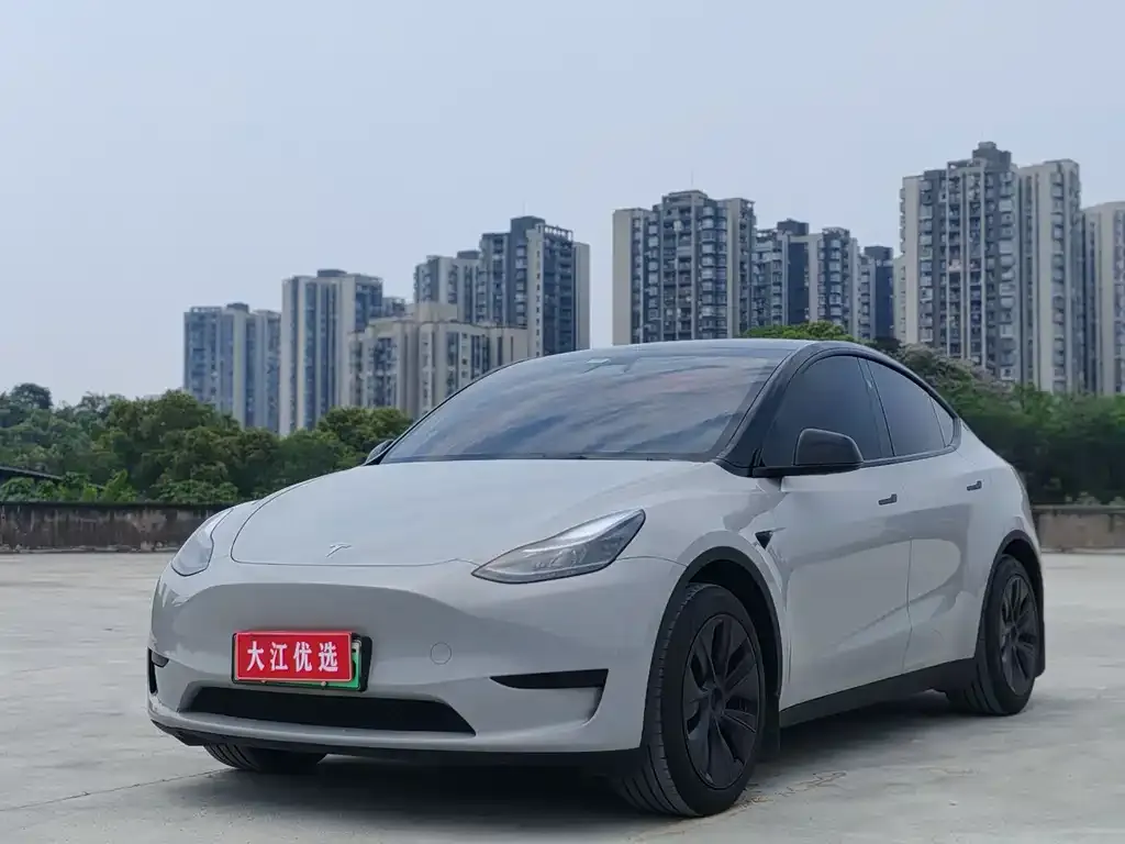 Tesla Model Y — фото 1