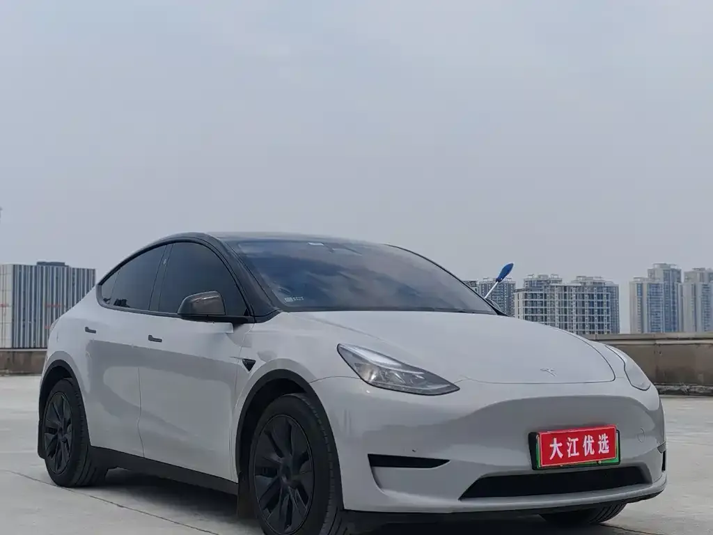 Tesla Model Y — фото 2