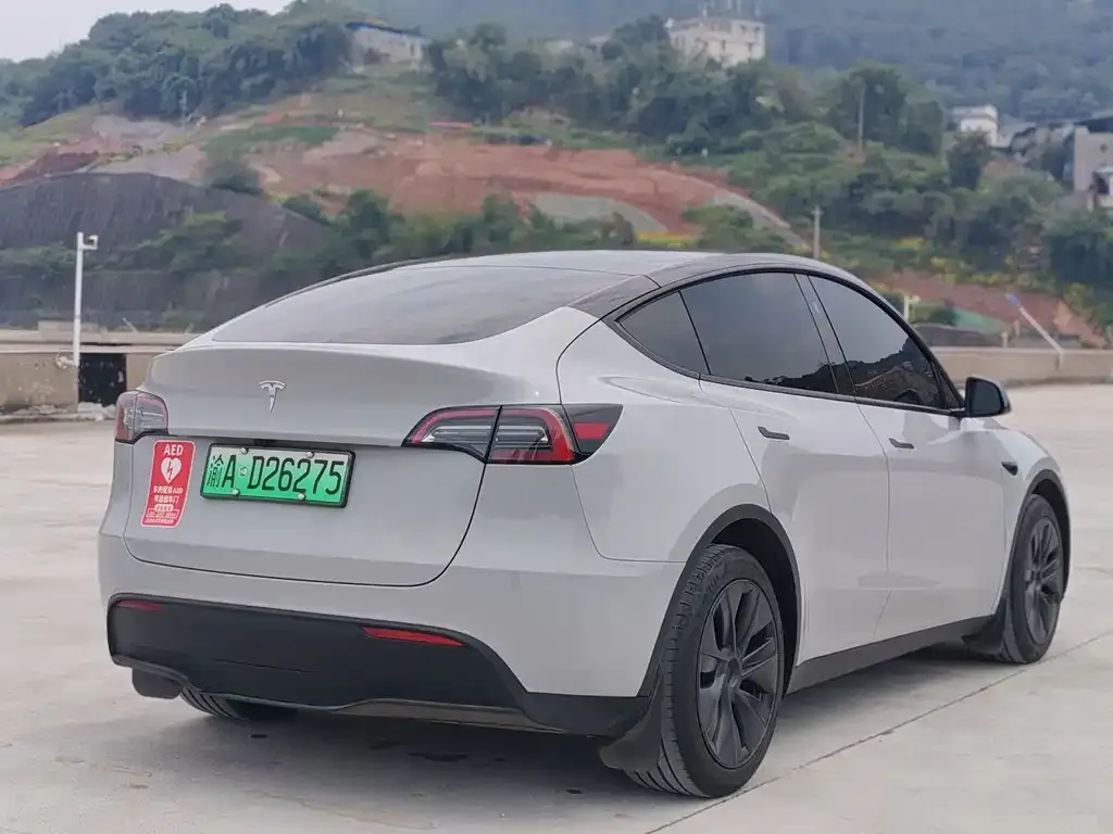 Tesla Model Y — фото 9
