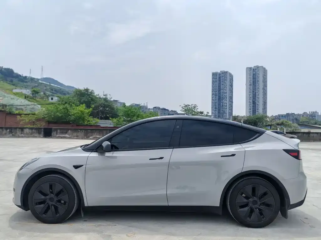 Tesla Model Y — фото 4