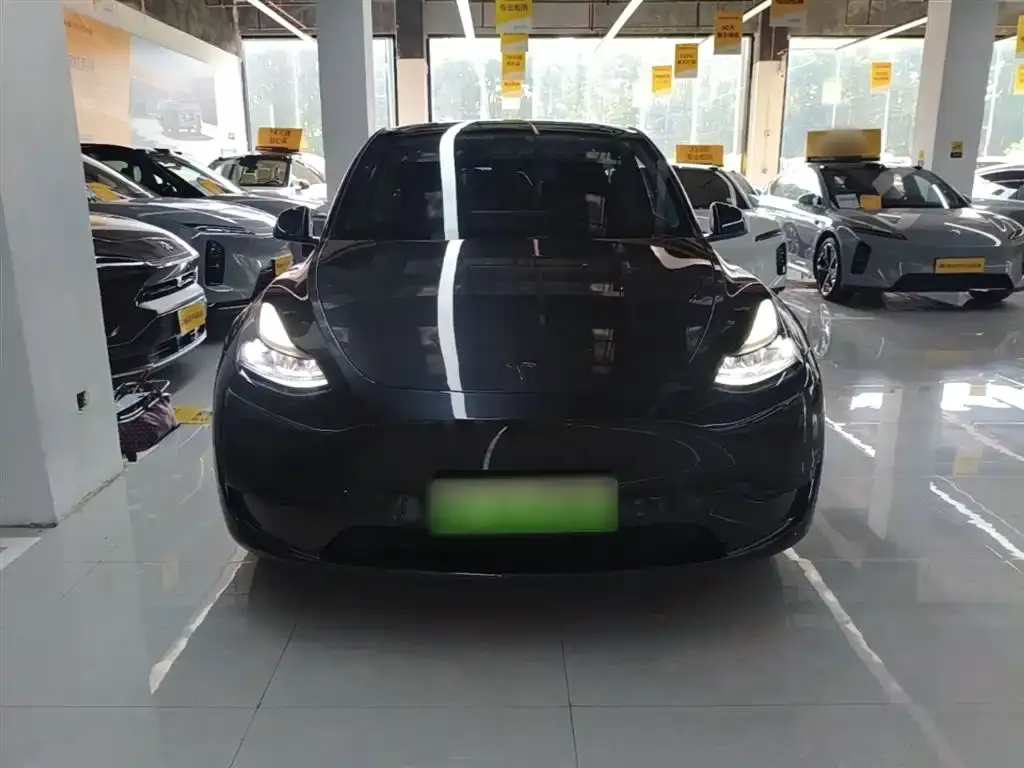Tesla Model Y — фото 10