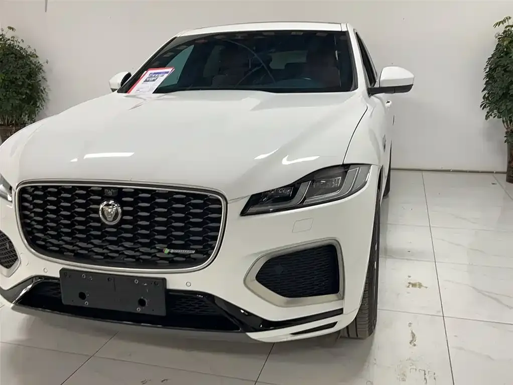 Jaguar F-PACE 2022 из CN, фото 3