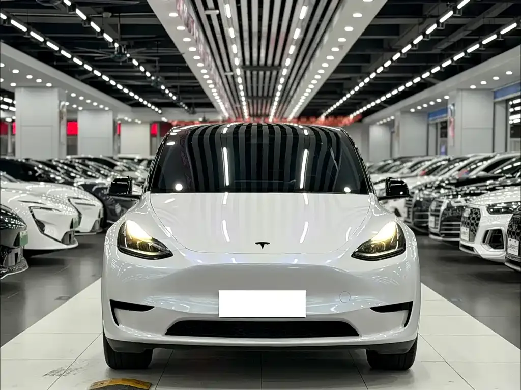 Tesla Model Y — фото 5