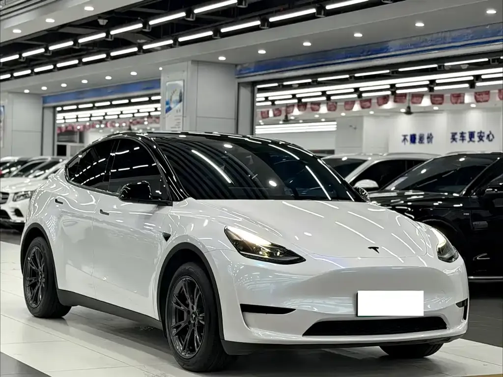Tesla Model Y — фото 8