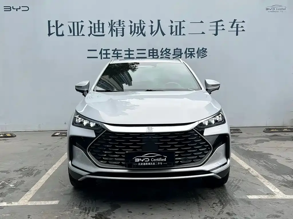 BYD Tang New Energy — фото 2