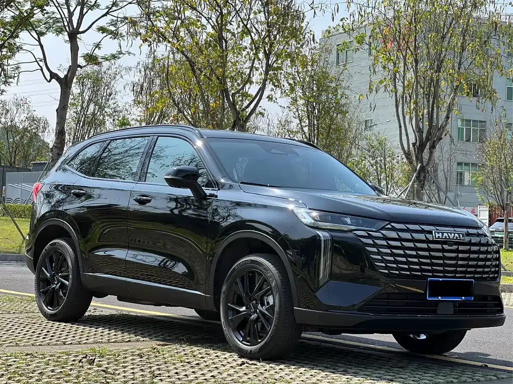 Haval H6 — фото 9