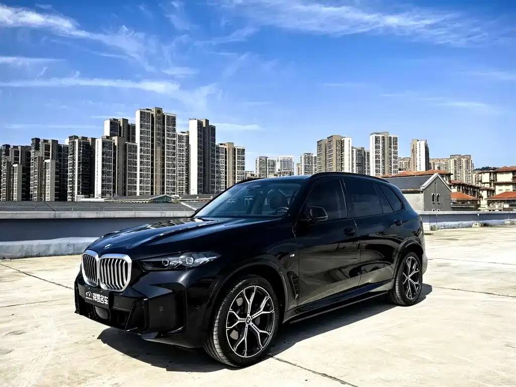 BMW X5 — фото 1
