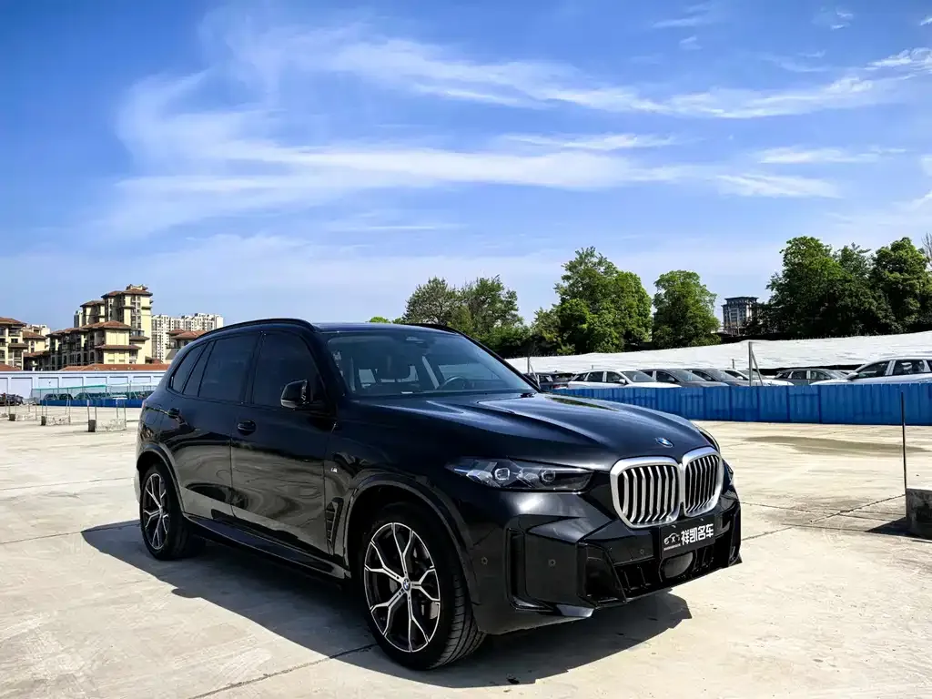 BMW X5 — фото 8