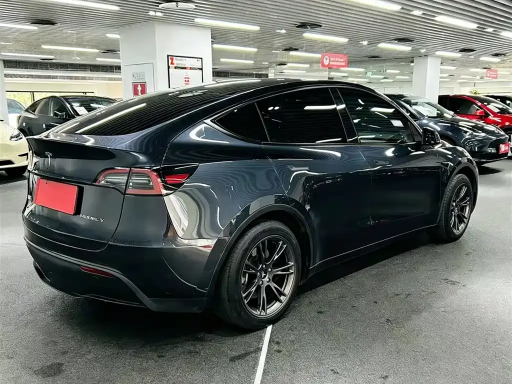 Tesla Model Y — фото 5