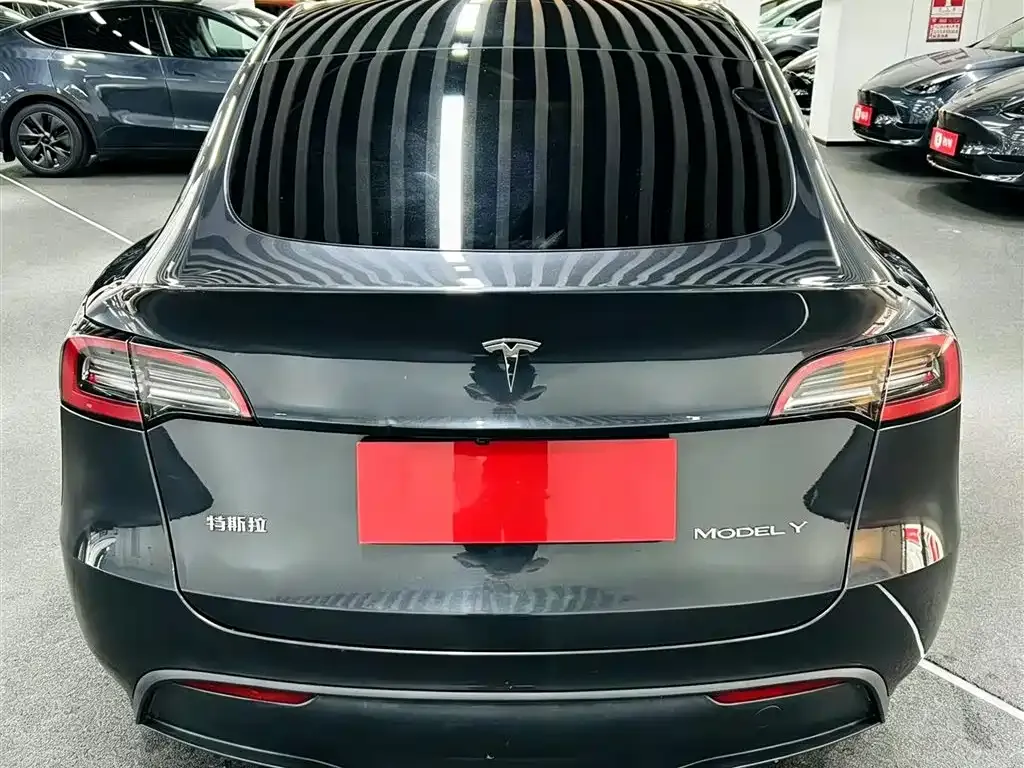 Tesla Model Y — фото 8