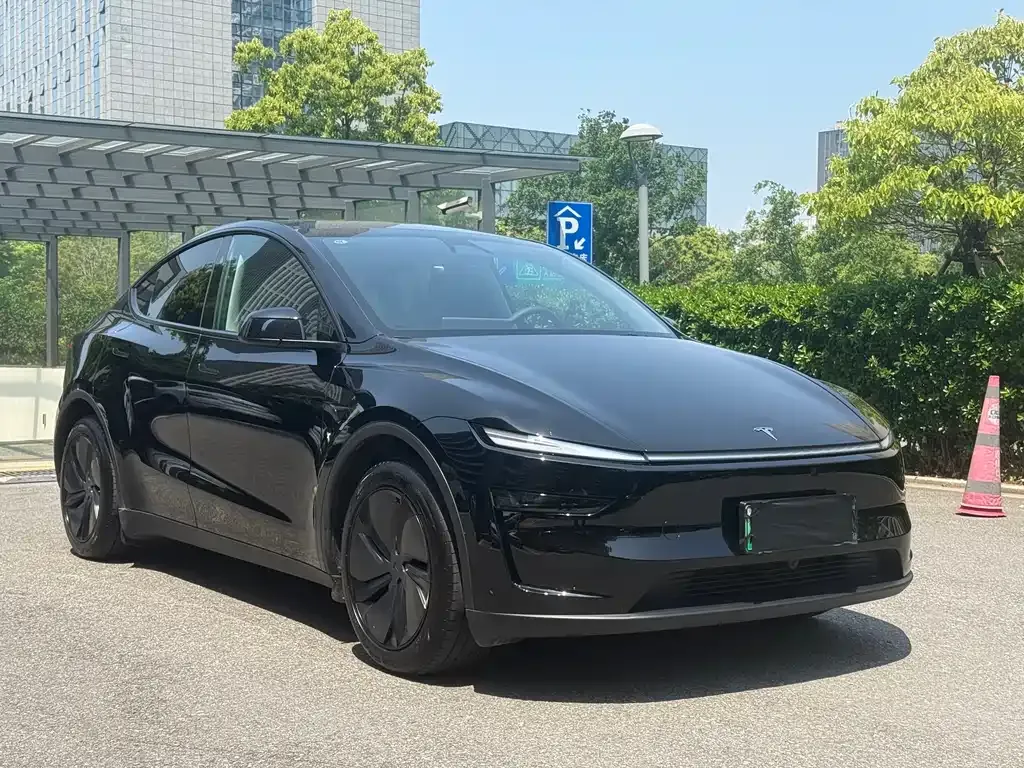 Tesla Model Y — фото 10