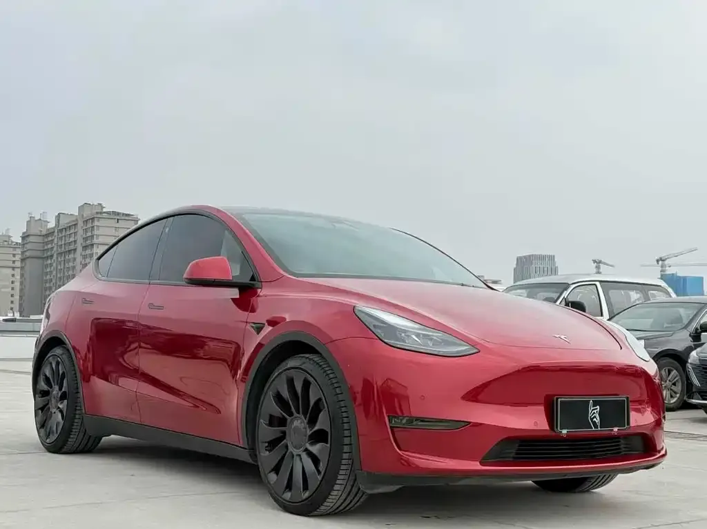 Tesla Model Y — фото 3