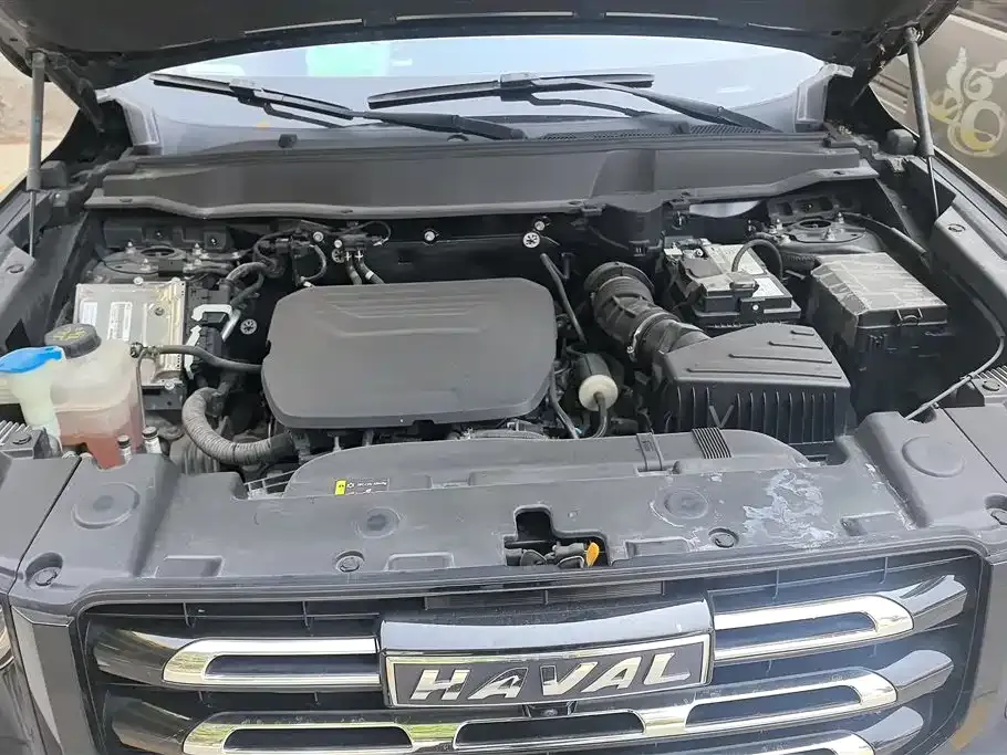 Haval Big Dog 2023 из CN, фото 6
