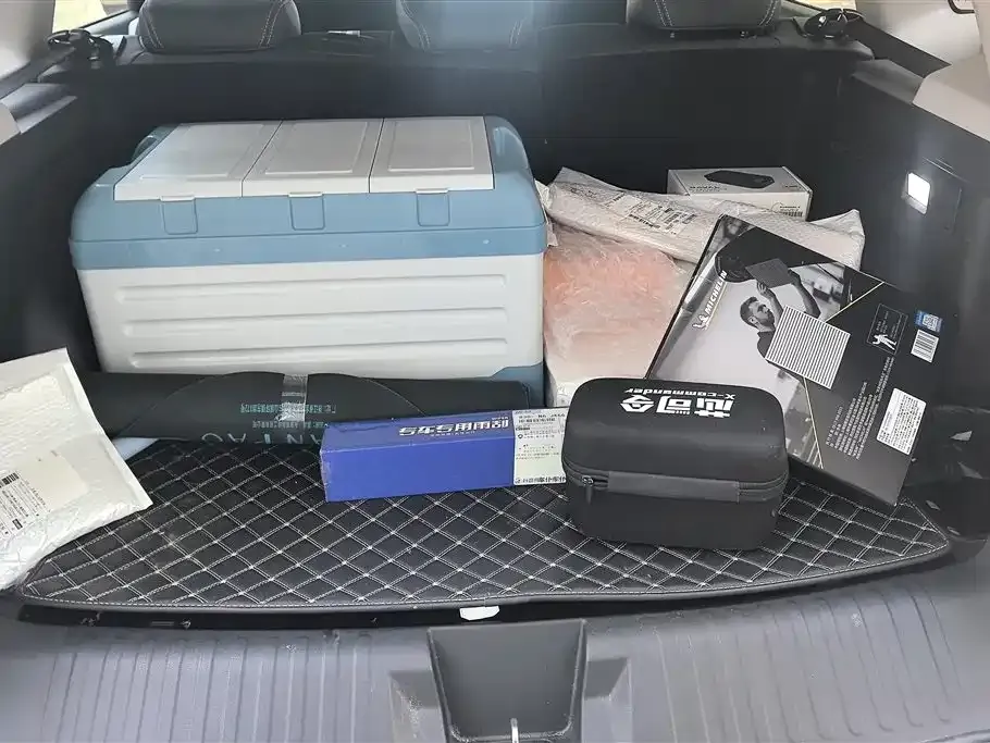 Haval Big Dog 2023 из CN, фото 5