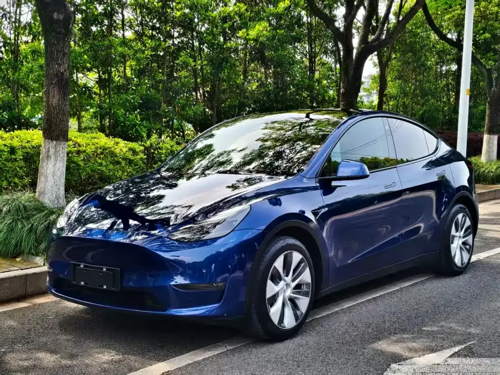 Tesla Model Y 2022 из CN, фото 1