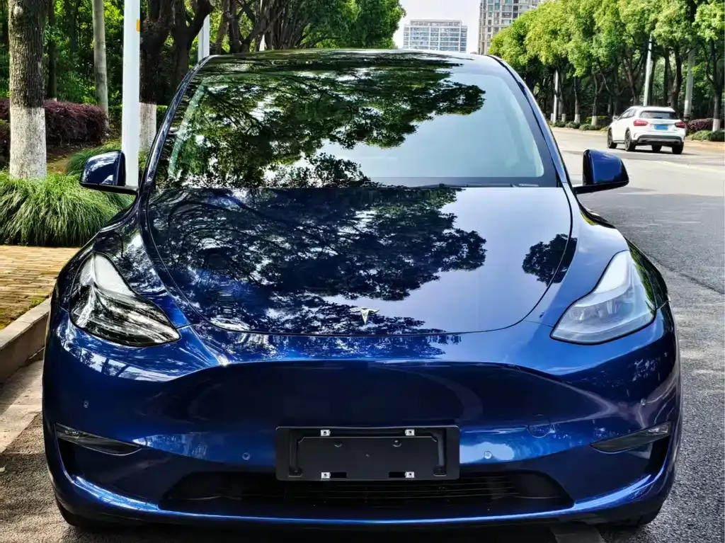 Tesla Model Y 2022 из CN, фото 5