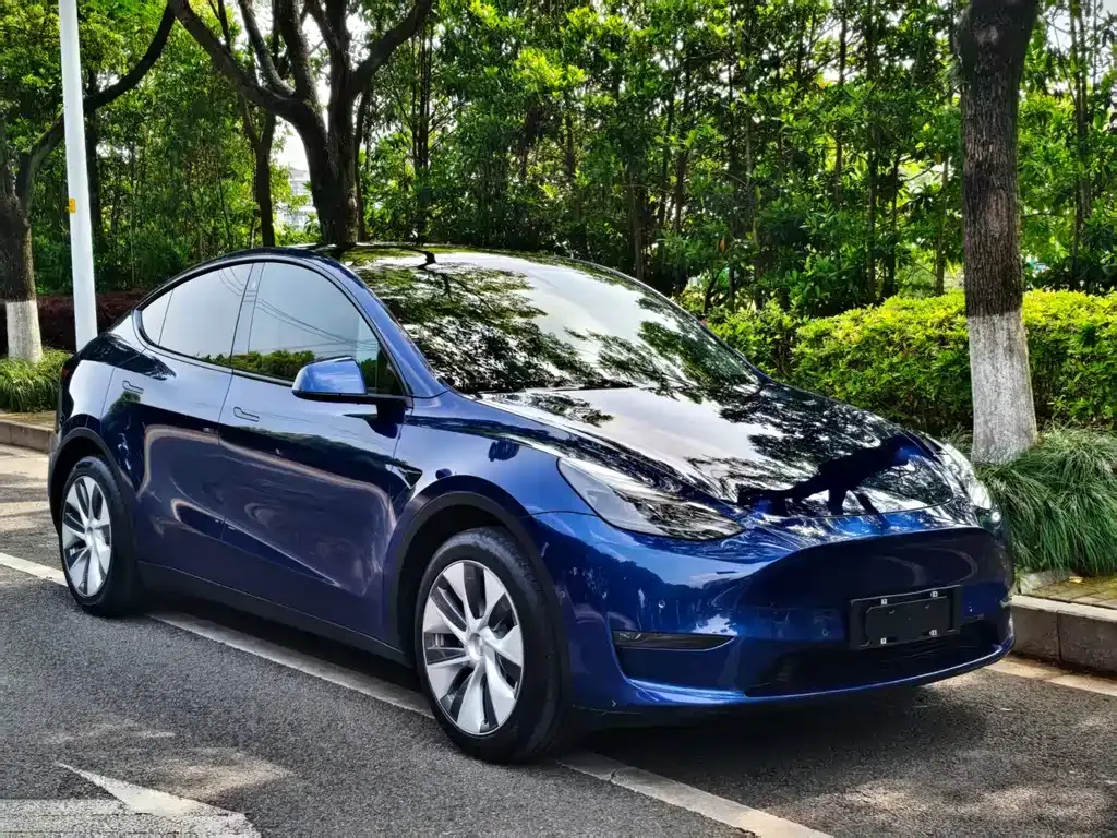 Tesla Model Y 2022 из CN, фото 10