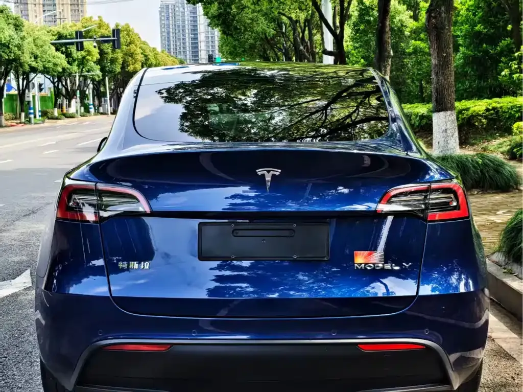 Tesla Model Y 2022 из CN, фото 4