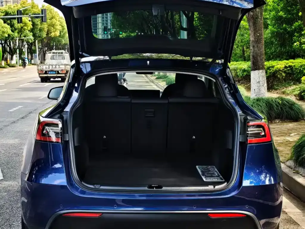 Tesla Model Y 2022 из CN, фото 6