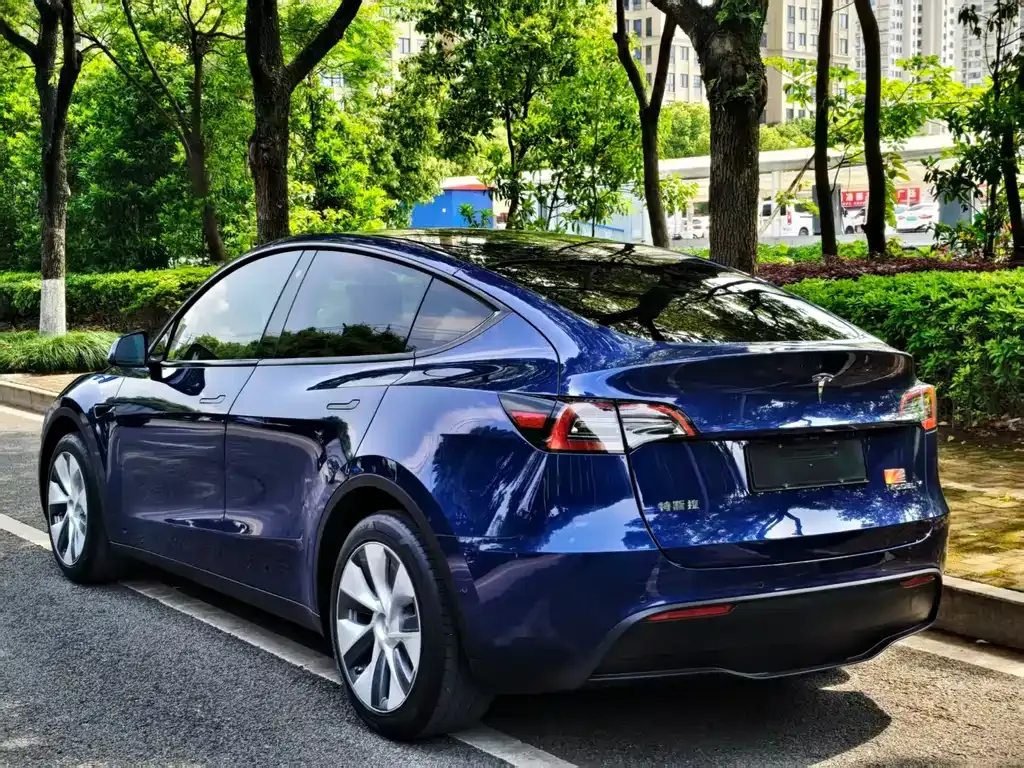 Tesla Model Y 2022 из CN, фото 8