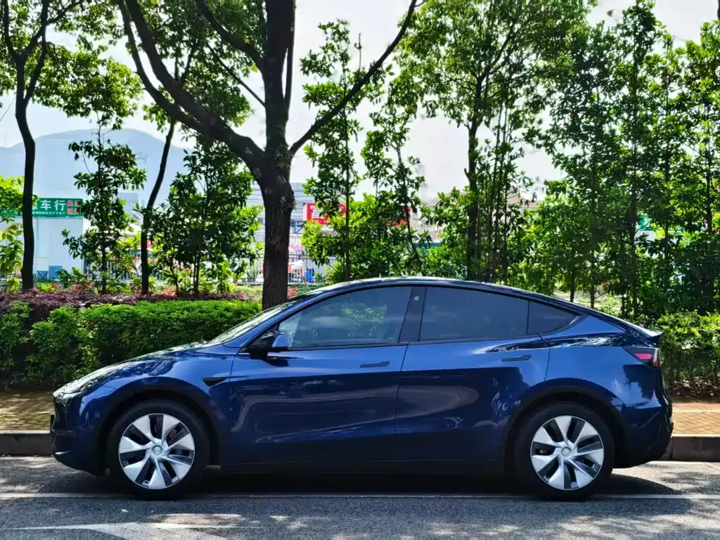 Tesla Model Y 2022 из CN, фото 9