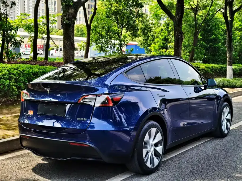 Tesla Model Y 2022 из CN, фото 7
