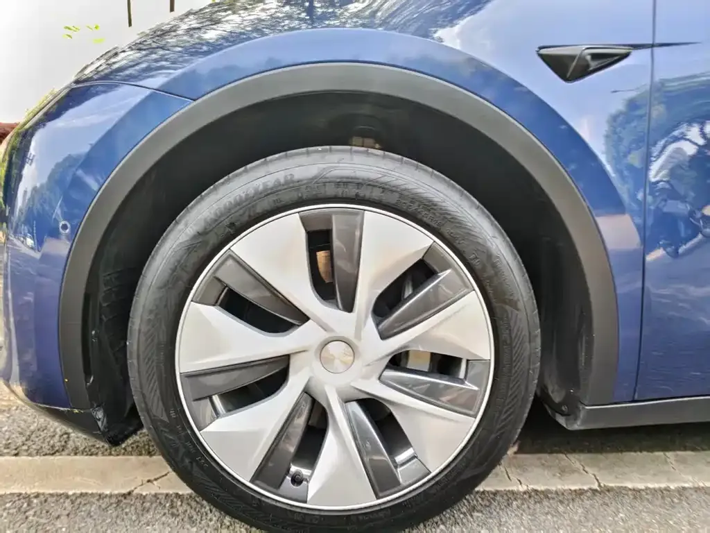 Tesla Model Y 2022 из CN, фото 2